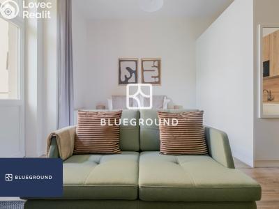 Rent apartment 1+KK Praha, Veletržní č. 8