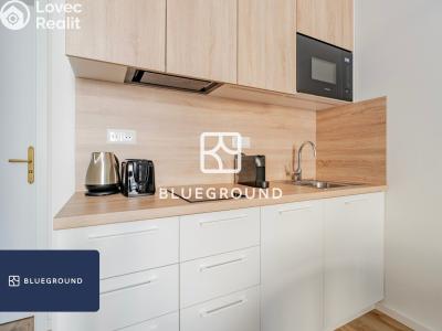 Rent apartment 1+KK Praha, Veletržní č. 12