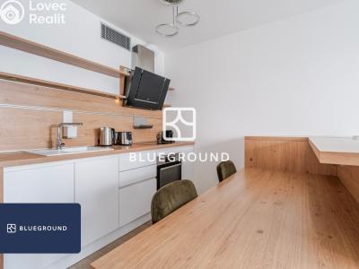 Rent apartment 1+KK Praha, Olšanská č. 8
