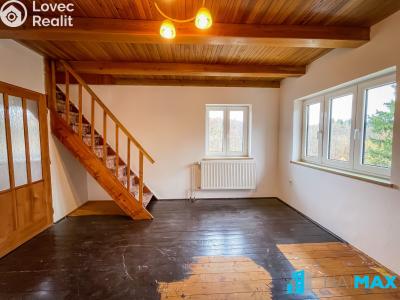 Pronájem chaty Brno, Bažinka č. 6