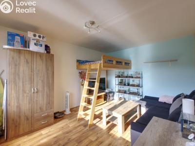 Rent apartment 1+1 Plzeň, Lábkova č. 2