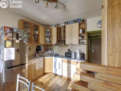Rent apartment 1+1 Plzeň, Lábkova č. 3