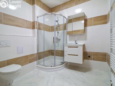 Rent apartment 2+1 Líně, Plzeňská 156 č. 2