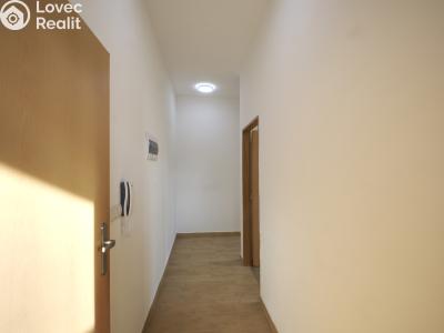 Rent apartment 2+1 Líně, Plzeňská 156 č. 15