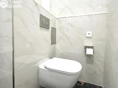 Rent apartment 3+1 Praha, Na Pankráci č. 6