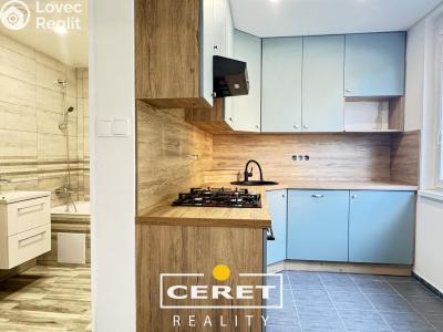 Rent apartment 2+1 Podbořany, Sídliště Míru 785 č. 7