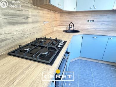Rent apartment 2+1 Podbořany, Sídliště Míru 785 č. 15
