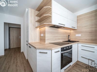 Rent apartment 1+1 Ostrava, Marty Krásové č. 1