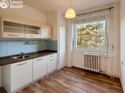 Продаж квартири 1+1 Praha, Minická č. 11