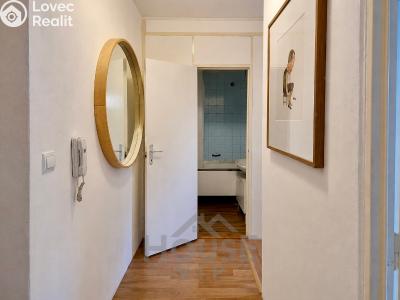 Продаж квартири 1+1 Praha, Minická č. 5