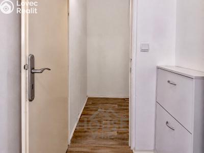 Продаж квартири 1+1 Praha, Minická č. 9