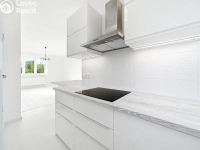 Sale apartment 3+1 Olomouc, Erenburgova č. 8