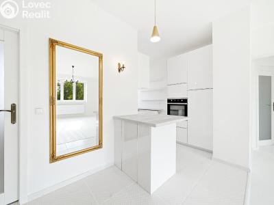Sale apartment 3+1 Olomouc, Erenburgova č. 16