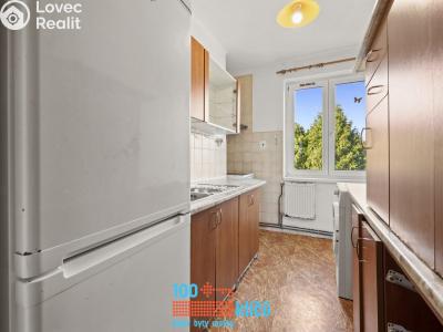 Sale apartment 3+1 Budiměřice č. 13