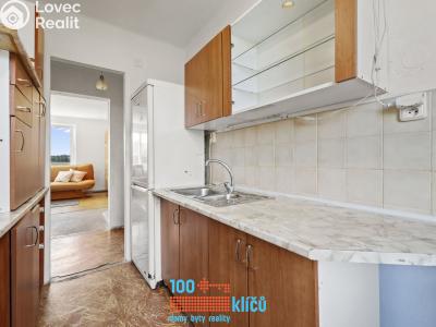 Sale apartment 3+1 Budiměřice č. 11