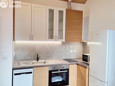 Rent apartment 3+KK Hlásná Třebaň, V Úvozu č. 5
