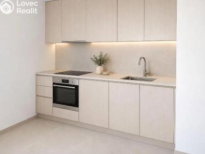 Оренда квартири 1+KK Praha, Na Truhlářce č. 6