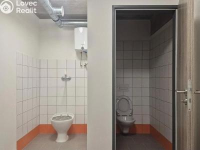 Pronájem komerční nemovitosti Praha č. 8