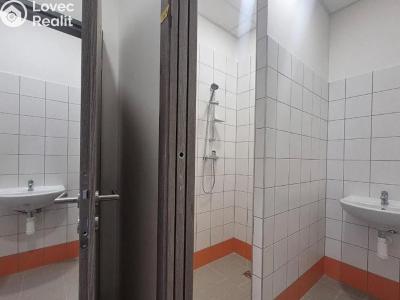 Pronájem komerční nemovitosti Praha č. 11