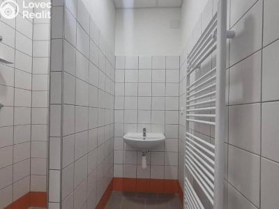 Pronájem komerční nemovitosti Praha č. 13