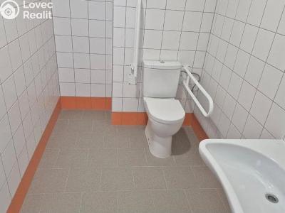 Pronájem komerční nemovitosti Praha č. 14
