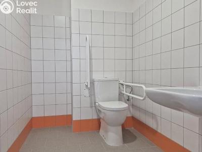 Pronájem komerční nemovitosti Praha č. 18