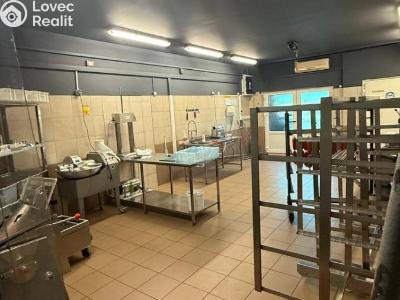 Оренда виробничого цеху Beroun, V Plzeňské bráně č. 1