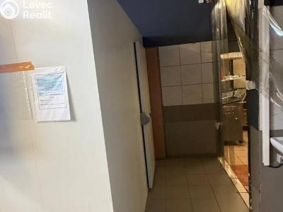 Оренда виробничого цеху Beroun, V Plzeňské bráně č. 8