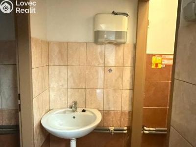 Оренда виробничого цеху Beroun, V Plzeňské bráně č. 15