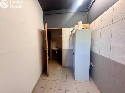 Pronájem výrobní haly Beroun, V Plzeňské bráně č. 3