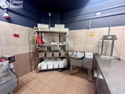 Pronájem výrobní haly Beroun, V Plzeňské bráně č. 5