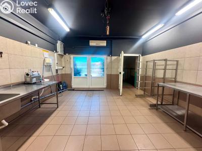 Pronájem výrobní haly Beroun, V Plzeňské bráně č. 12