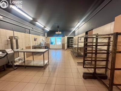 Pronájem výrobní haly Beroun, V Plzeňské bráně č. 13