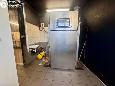 Pronájem výrobní haly Beroun, V Plzeňské bráně č. 18