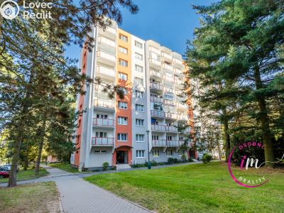 Prodej bytu 2+1 Jihlava, Kollárova č. 1