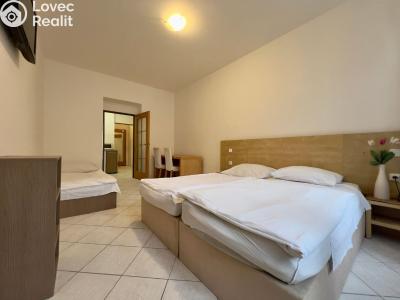 Оренда квартири 1+1 Praha, U Santošky č. 1