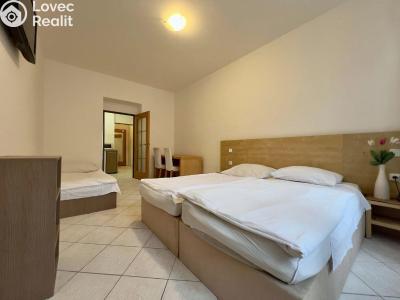 Pronájem bytu 1+1 Praha, U Santošky č. 8