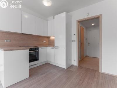 Оренда квартири 1+KK Praha, Bassova č. 15