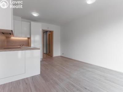 Оренда квартири 1+KK Praha, Bassova č. 1