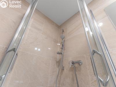 Оренда квартири 1+KK Praha, Bassova č. 5