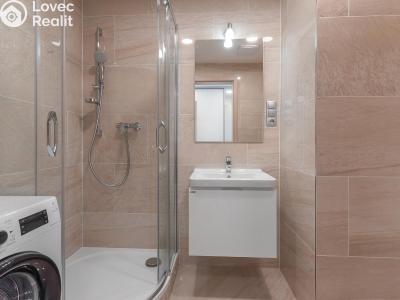 Оренда квартири 1+KK Praha, Bassova č. 9