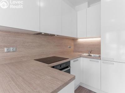 Оренда квартири 1+KK Praha, Bassova č. 13