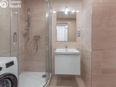 Pronájem bytu 1+KK Praha, Bassova č. 5