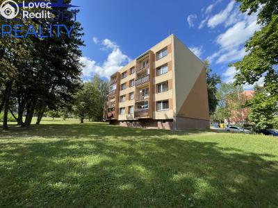 Sale apartment 1+1 Ostrava, Jana Ziky č. 9
