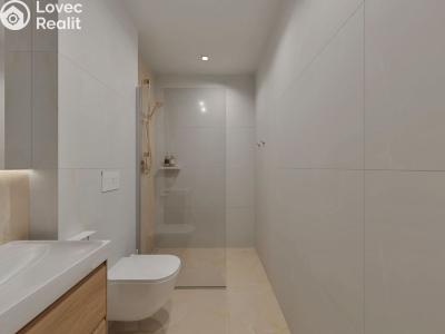 Продажа квартиры 2+KK Brno, Elišky Přemyslovny č. 10