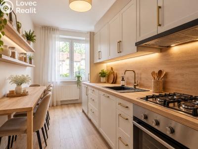 Sale apartment 3+1 Tachov, Bělojarská 1462 č. 28