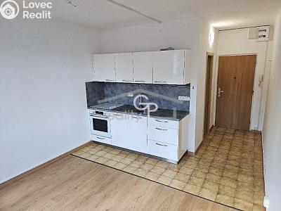 Аренда квартиры 1+KK České Budějovice, Pekárenská č. 6
