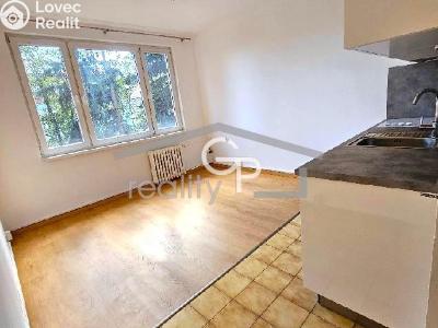 Аренда квартиры 1+KK České Budějovice, Pekárenská č. 1