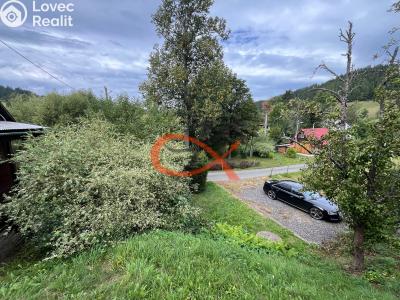 Sale hut Nový Hrozenkov č. 12