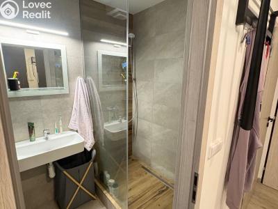 Rent apartment 2+1 Sedlčany, U Školky 695 č. 6
